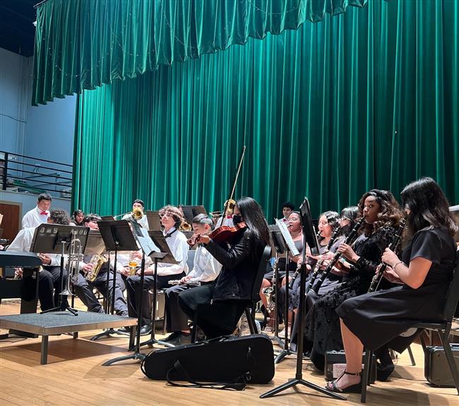 A side view of the orchestra